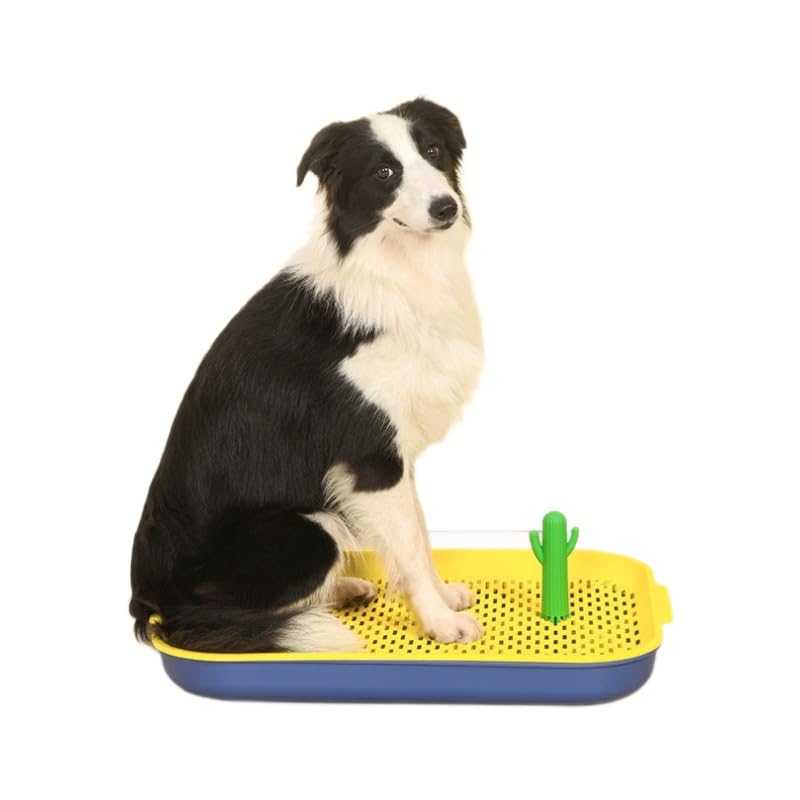 犬用トイレ イエロー プラスチック製 Amazon | EHHE 犬用トイレ、防水加工＆消臭機能、大型犬から小型犬まで